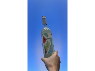 MOŠT 2023 Vinařství U Vrbů